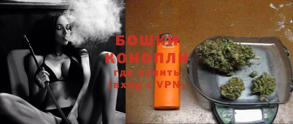 сатива Баксан