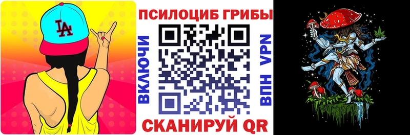 Галлюциногенные грибы Cubensis  даркнет сайт  Новокубанск 